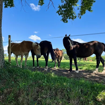 Le Gabriel Prázdninový dům